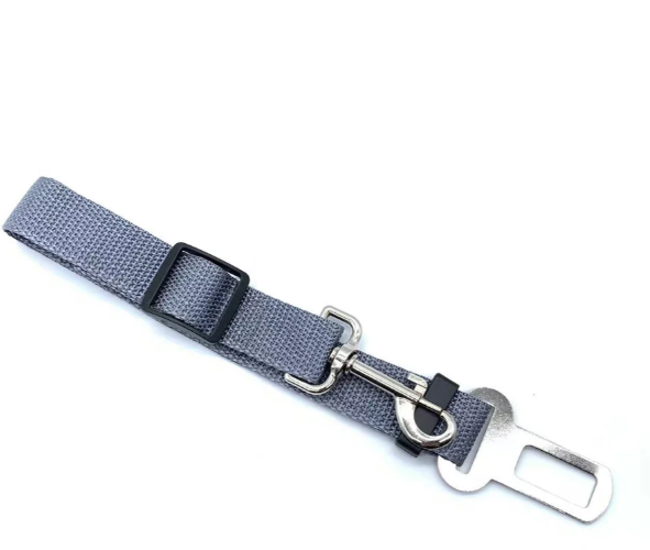 Sikkerhetsbelte for dyr – Trygge og rolige reiser