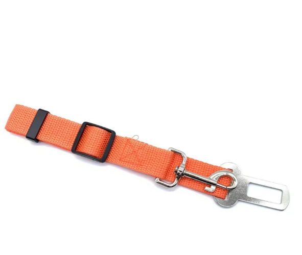 Sikkerhedsseler til Dyr – Sikker og Rolig Rejse