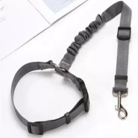 Correa de Seguridad Ajustable para Perro – Especial Coche 