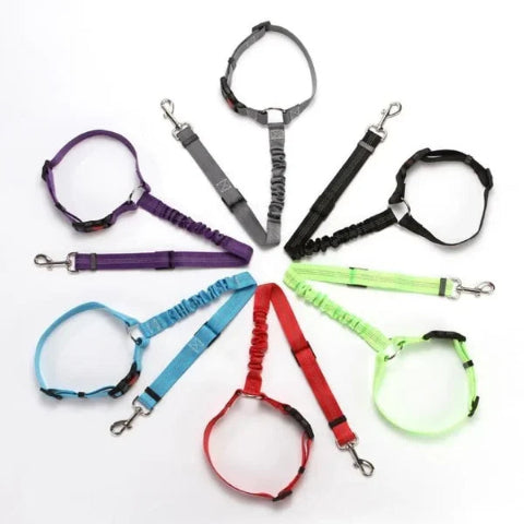Correa de Seguridad Ajustable para Perro – Especial Coche 