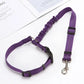 Correa de Seguridad Ajustable para Perro – Especial Coche 