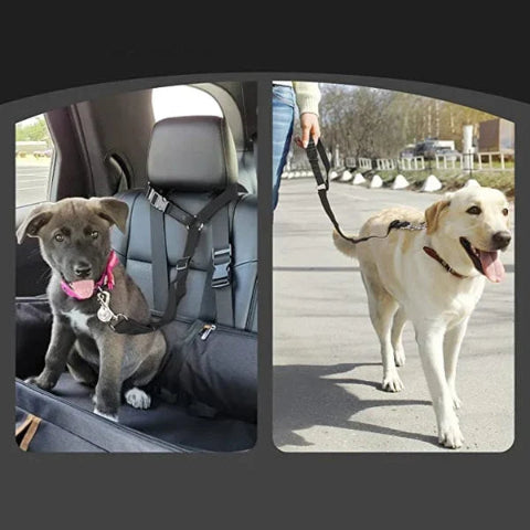 Correa de Seguridad Ajustable para Perro – Especial Coche 