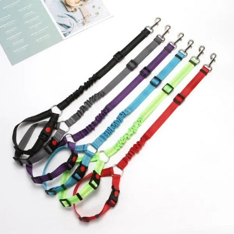 Correa de Seguridad Ajustable para Perro – Especial Coche 